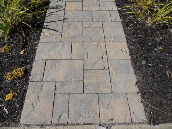 Stamped Concrete Staining in Vista
