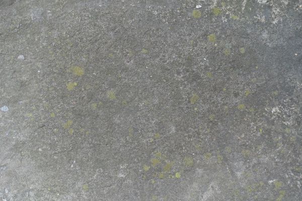 Cost of Slab Staining Service in Vista